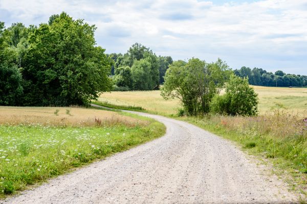 Stone Driveway Repair in Columbia