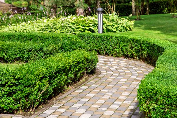 Paved Landscaping in Columbia